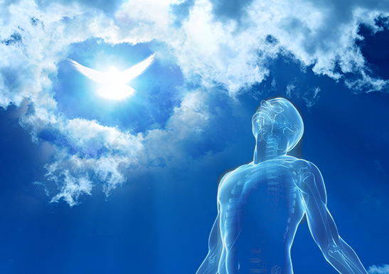 edificat_vorbitor_cocora_sebastian_flavius