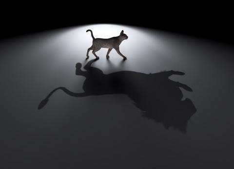 atitudinea-de-a-iubi-pastor-rus-avram