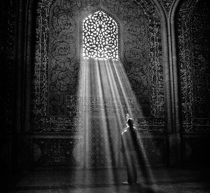 ascultarea-declanseaza-protectie-vorbitor-cocora-sebastian-flavius