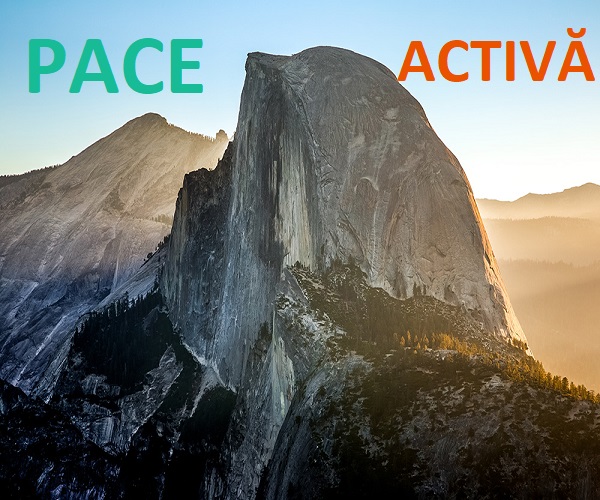 Ascultarea declanșează pace - vorbitor Cocora Sebastian Flavius