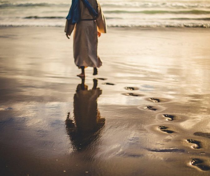 insotit_vorbitor_cocora_sebastian_flavius