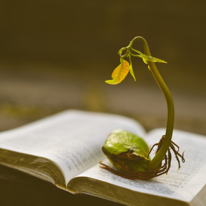 perdica-despre-biserica-partea-a-3-a-pastor-crihalmean-corneliu