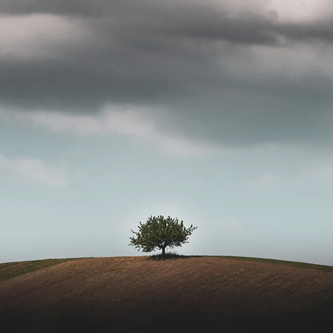 predica-castiga-teren-pastor-cocora-sebastian-flavius