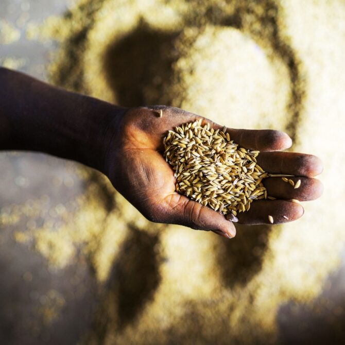 predica-corectitudine-in-lege-sau-dreptate-in-cristos-vorbitor-cocora-sebastian-flavius