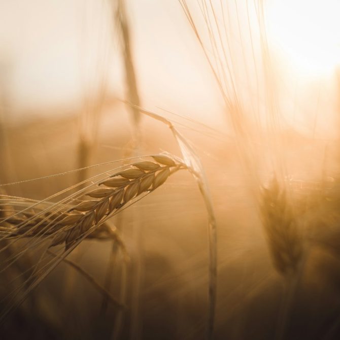 predica-credinta-in-binecuvantare-pastor-crihalmean-corneliu