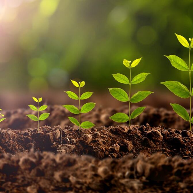 predica-despre-viata-pastorul-crihalmean-corneliu