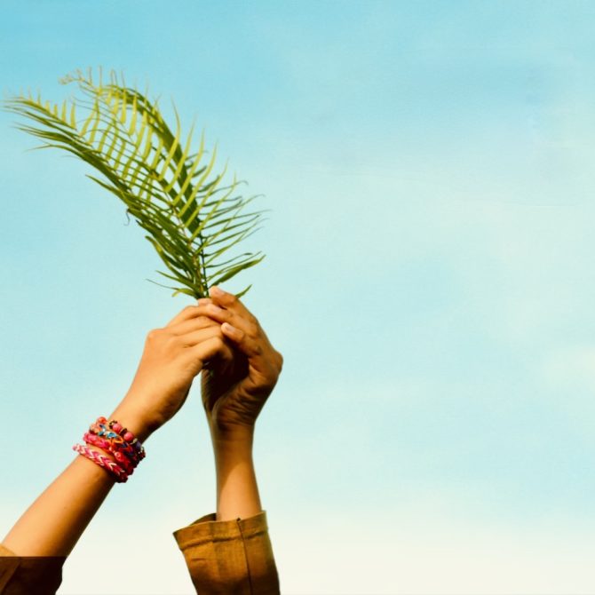 predica-duminica-floriilor-este-despre-mesajul-harului-pastor-sebastian-flavius-cocora