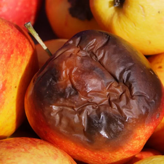 predica-nu-pierde-binecuvantarea-pastor-rus-avram