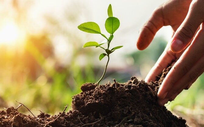 predica-principiul-cresterii-pastor-crihalmean-corneliu