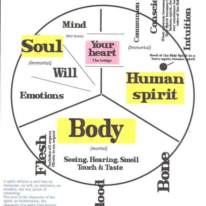 predica-vointa-versus-duh-puterea-vointei-versus-puterea-duhului-cocora-sebastian-flavius