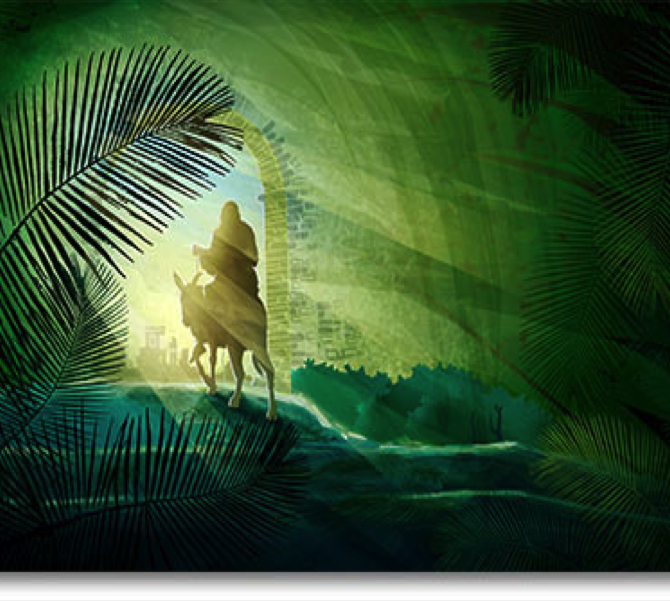 predica_bucuria_floriilor_vorbitor_cocora_sebastian_flavius